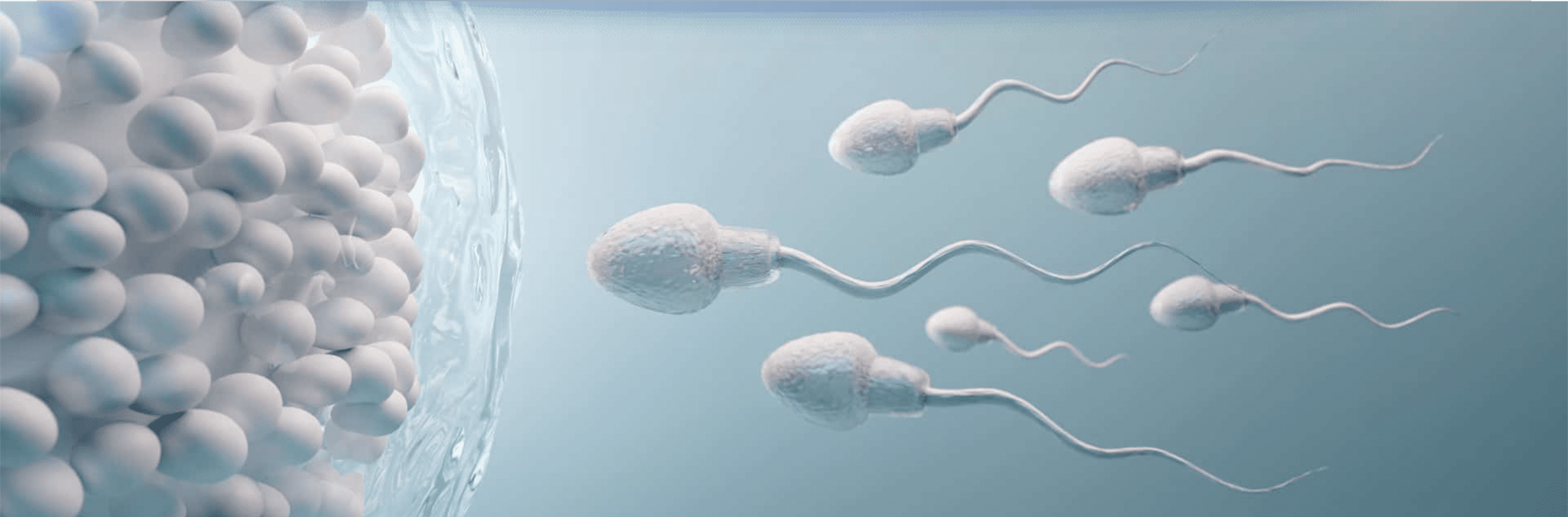 Diferencia entre Fertilidad e Infertilidad